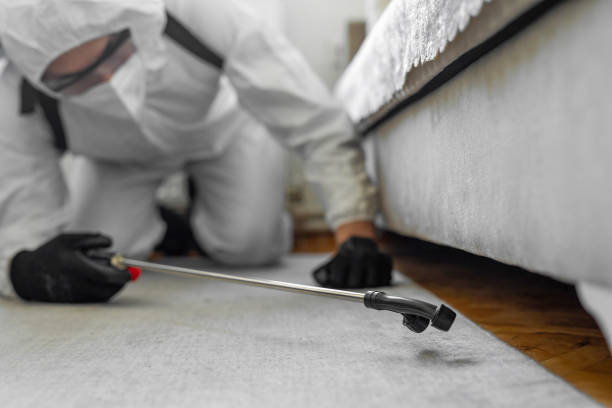 Professional Termite Control technician working in Opa-locka, FL