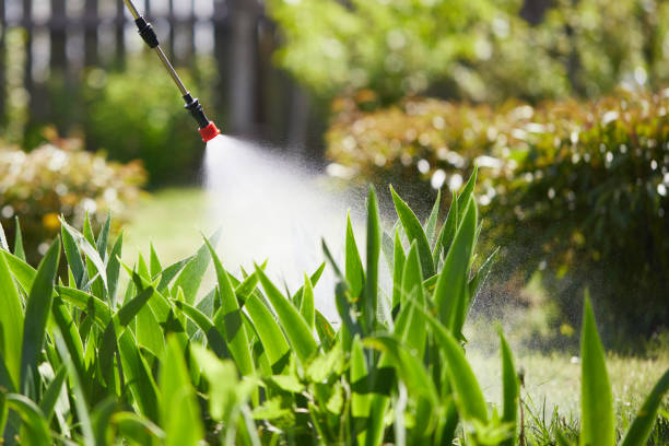24/7 Emergency Termite Control experts in Opa-locka, FL