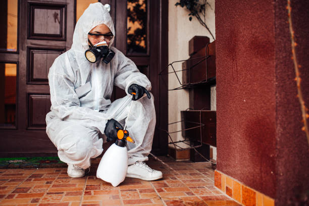 Reliable Termite Control contractor in Opa-locka, FL by Nex Pest Control